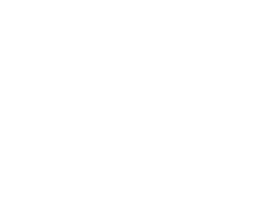 Top Seo Agency in Clearwater